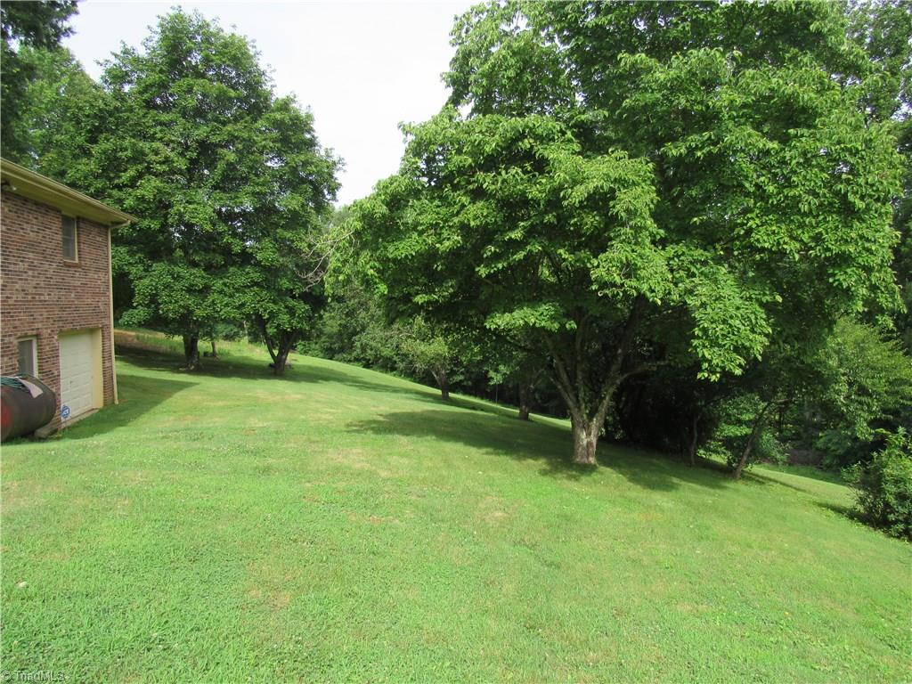 1365 Tillotson Road Pinnacle, NC 27043 - Photo 10 of 29
