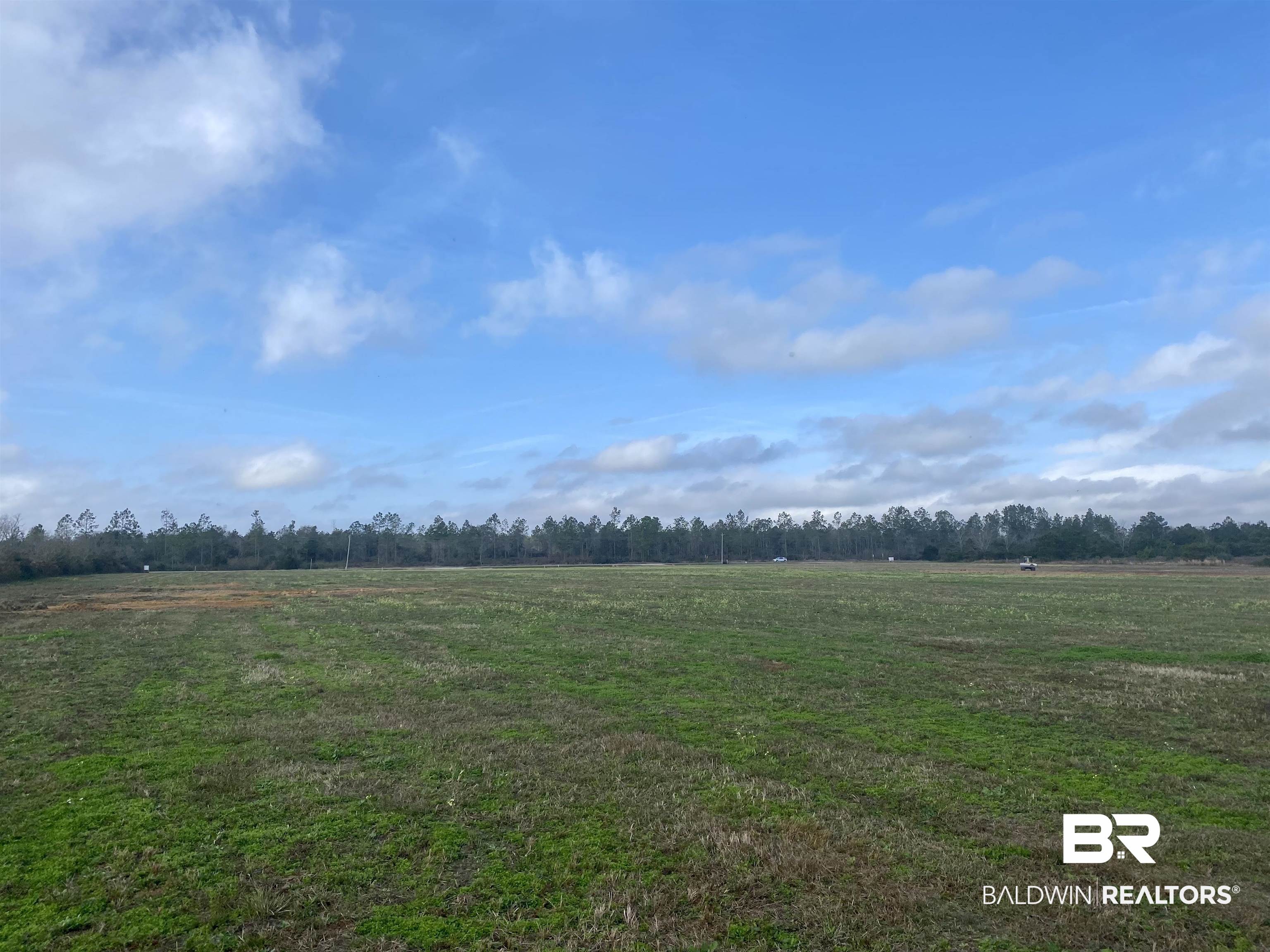 Lot 8 County Road 87 Elberta, AL 36530 - Photo 1 of 1 Gallery Image 1
