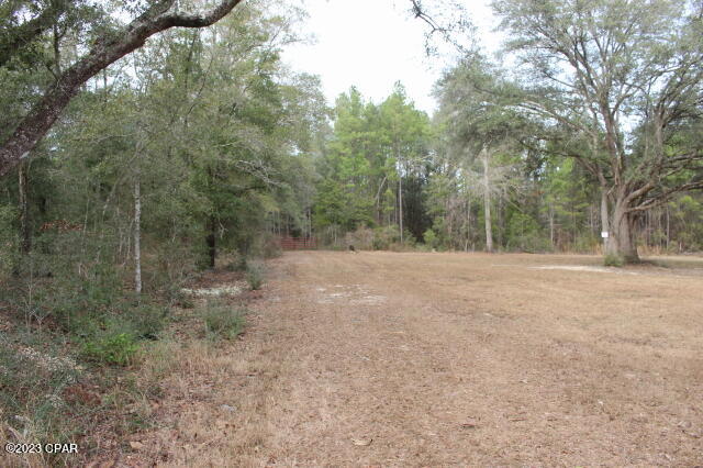 1957 Field Bay Road Caryville, FL 32427 - Photo 6 of 18 Gallery Image 6