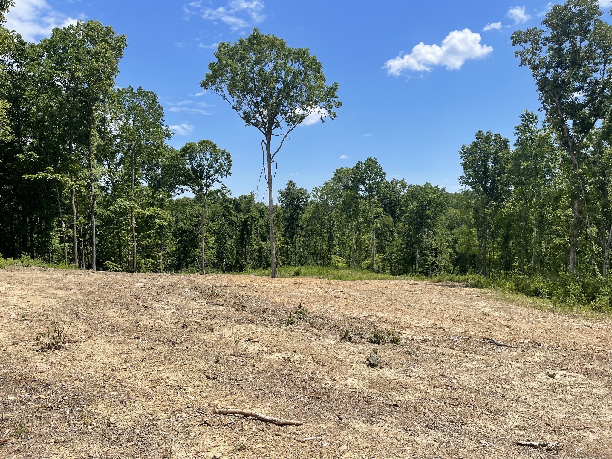 2 Bob Walker Road Bumpus Mills, TN 37028 - Photo 1 of 4 Gallery Image 1