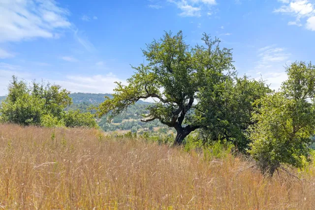 $645,425 | 5818 Ranch Road, Unit 2, Blanco, TX 78606