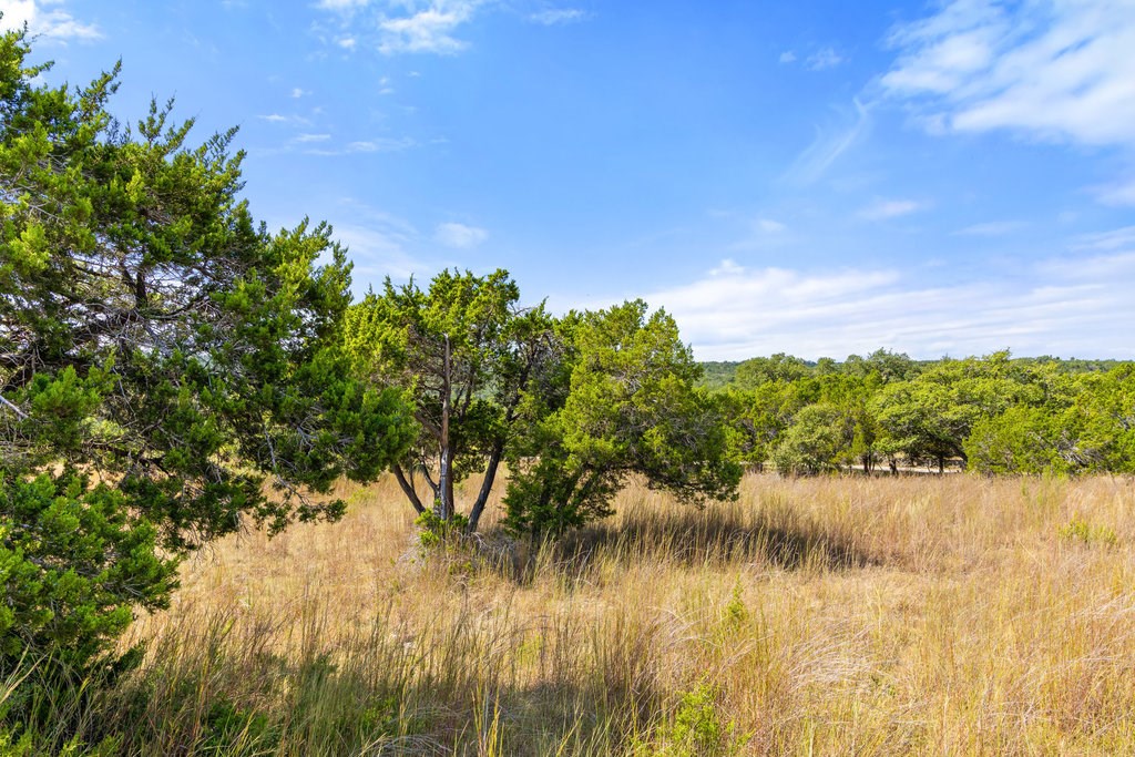 5818 Ranch Road, Unit 2 Blanco, TX 78606 - Photo 21 of 31
