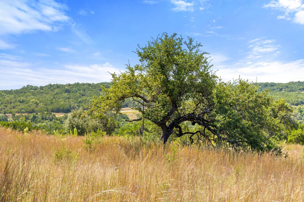 5818 Ranch Road, Unit 2 Blanco, TX 78606 - Photo 22 of 31