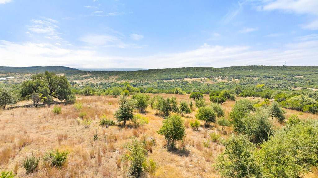 5818 Ranch Road, Unit 2 Blanco, TX 78606 - Photo 4 of 31