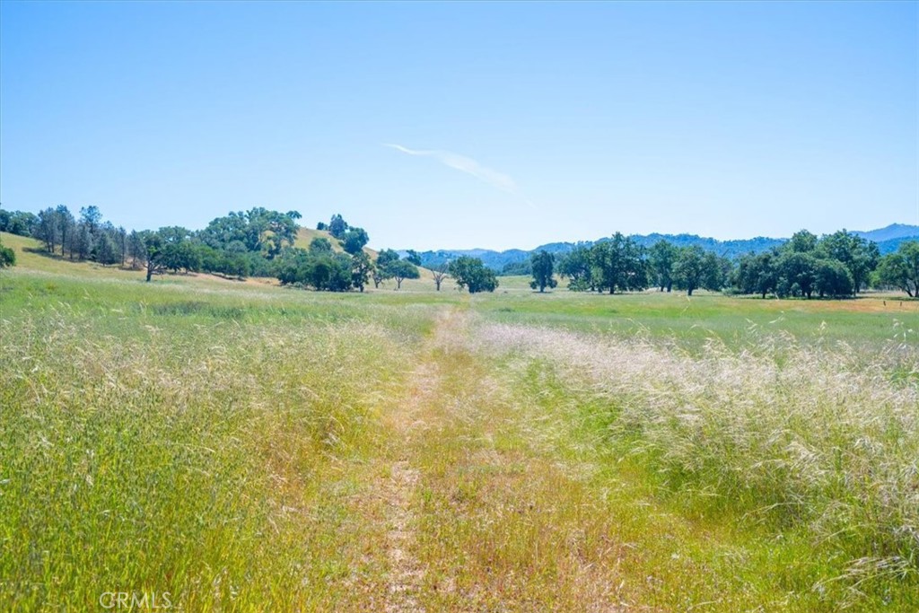 0 Nacimiento Shores Road Bradley, CA 93426 - Photo 23 of 60 a view of a field with an ocean