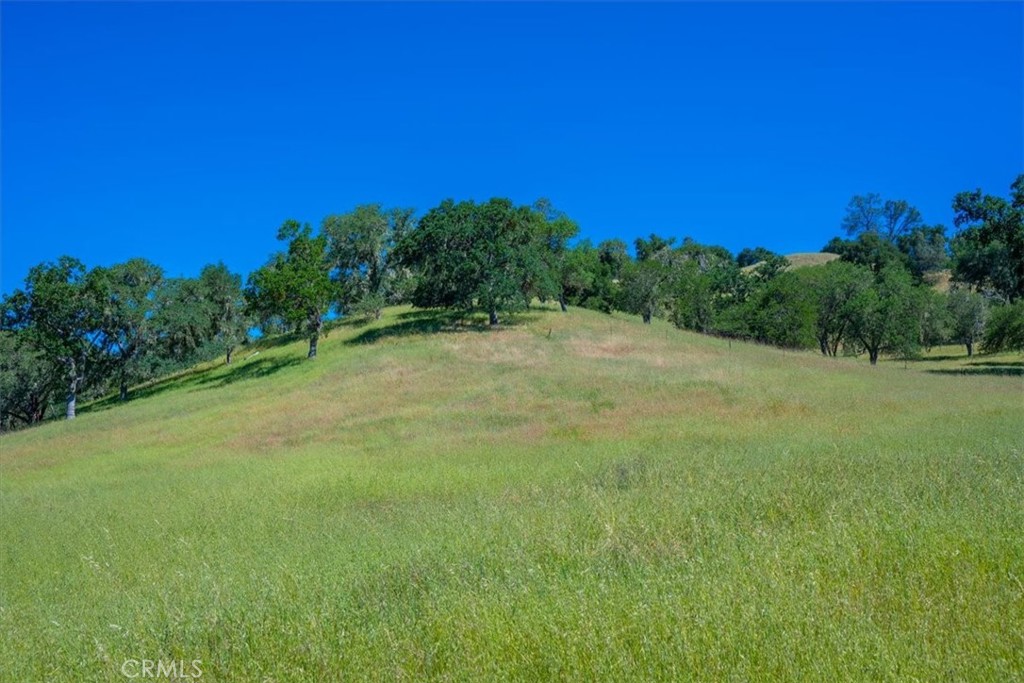 0 Nacimiento Shores Road Bradley, CA 93426 - Photo 24 of 60 a view of a field with trees in the background