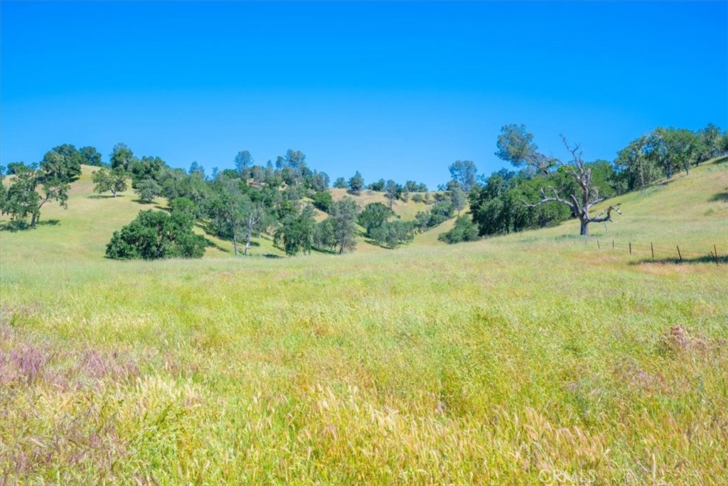 0 Nacimiento Shores Road Bradley, CA 93426 - Photo 27 of 60 a view of a yard with an trees