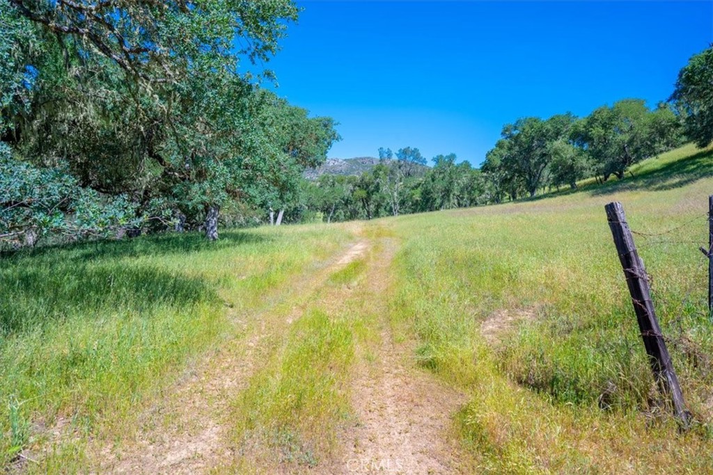 0 Nacimiento Shores Road Bradley, CA 93426 - Photo 29 of 60 a view of a lake view with a garden