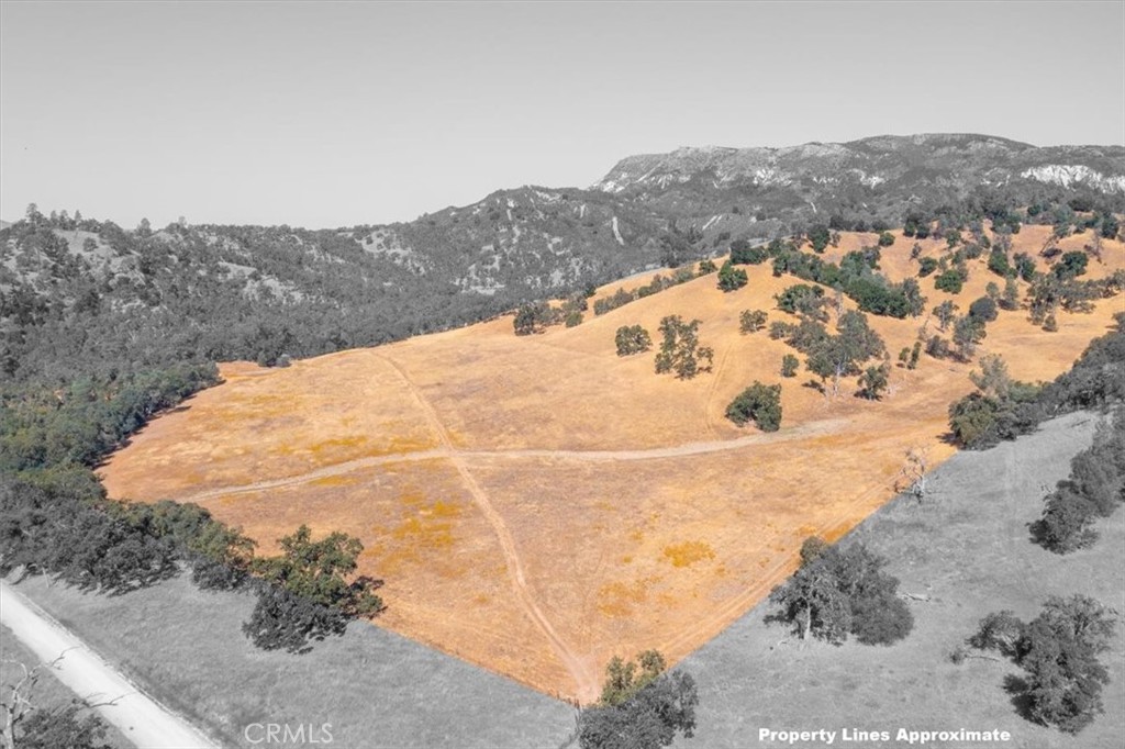 0 Nacimiento Shores Road Bradley, CA 93426 - Photo 34 of 60 a view of a dry yard