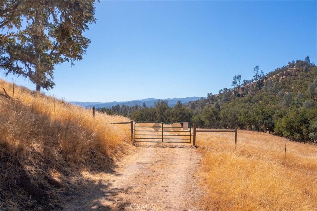0 Nacimiento Shores Road Bradley, CA 93426 - Photo 35 of 60 a view of bench and trees in the background
