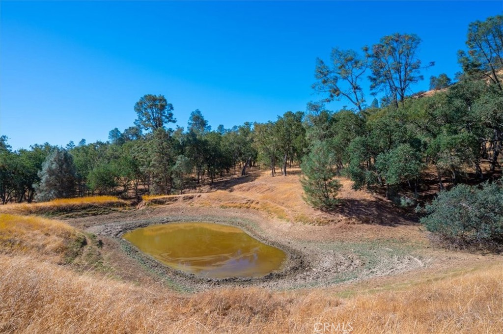 0 Nacimiento Shores Road Bradley, CA 93426 - Photo 40 of 60 a view of a swimming pool with a yard