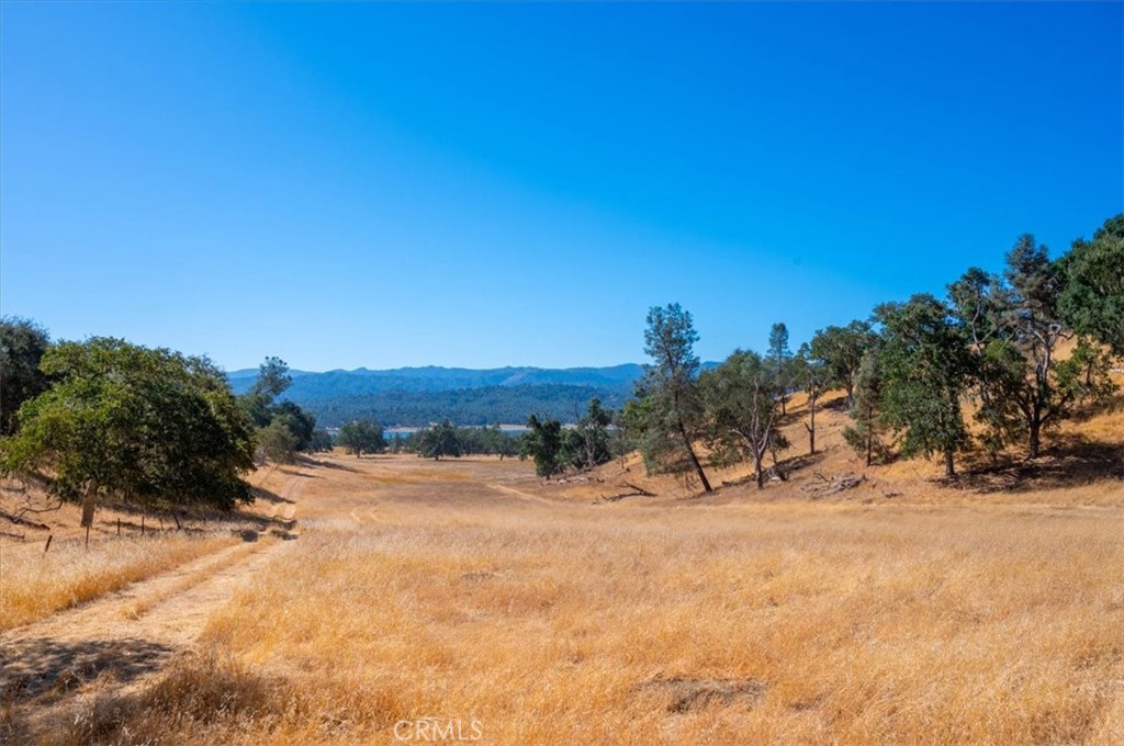 0 Nacimiento Shores Road Bradley, CA 93426 - Photo 42 of 60 a view of a dry yard with a tree
