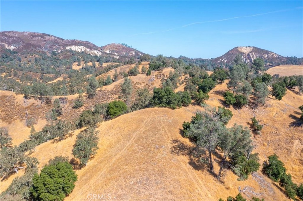 0 Nacimiento Shores Road Bradley, CA 93426 - Photo 52 of 60 a view of a dry yard with mountains in the background