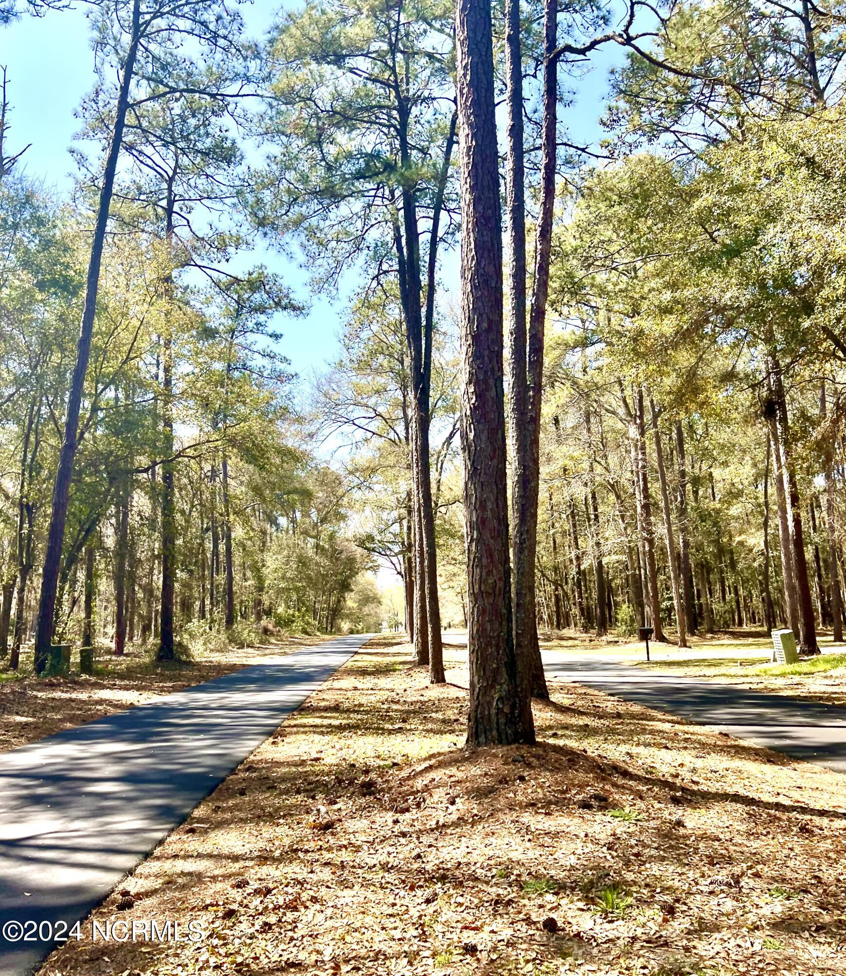 9050 Ocean Harbour Golf Club Road Southwest Sunset Beach, NC 28468 - Photo 2 of 25 Ocean Harbour Golf Club Rd