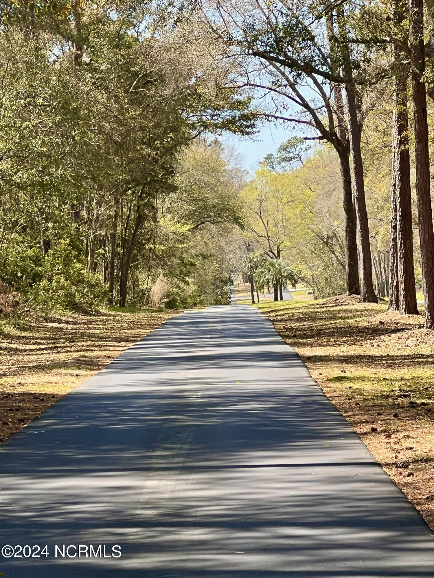 9050 Ocean Harbour Golf Club Road Southwest Sunset Beach, NC 28468 - Photo 3 of 25 Ocean Harbour Golf Club Rd