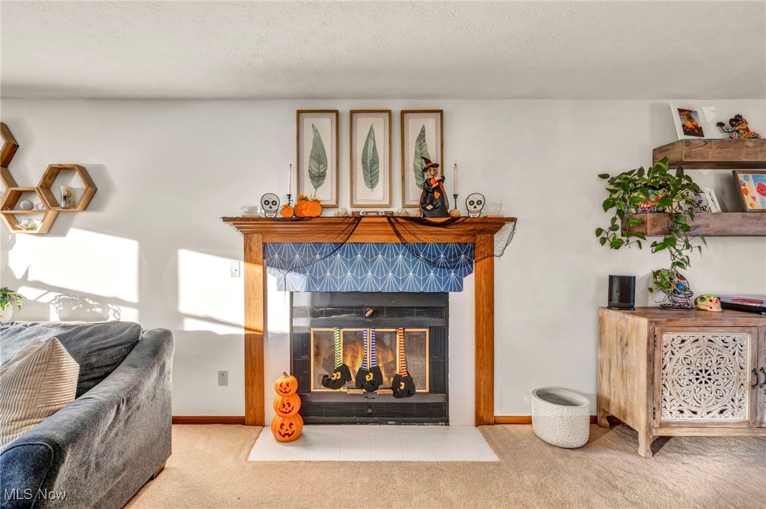 300 Decourcey Rittman, OH 44270 - Photo 9 of 48 Living room