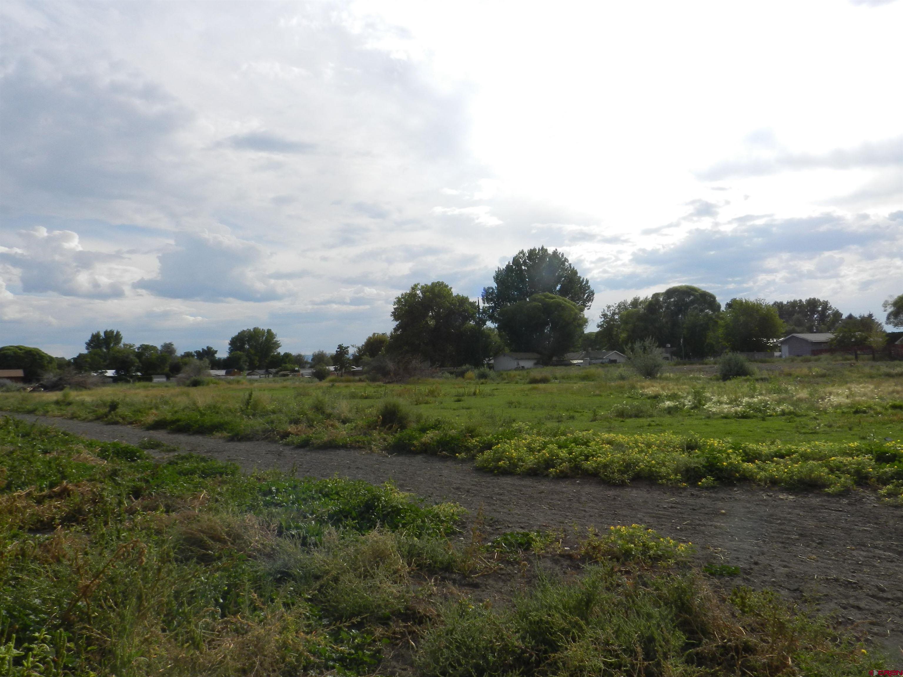 14750 Marine Road Montrose, CO 81403 - Photo 17 of 42