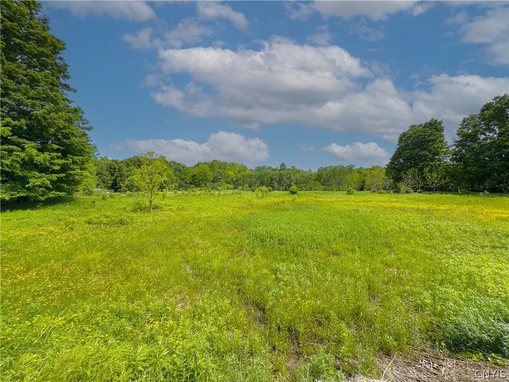 4 County Route Fulton, NY 13069 - Photo 23 of 37