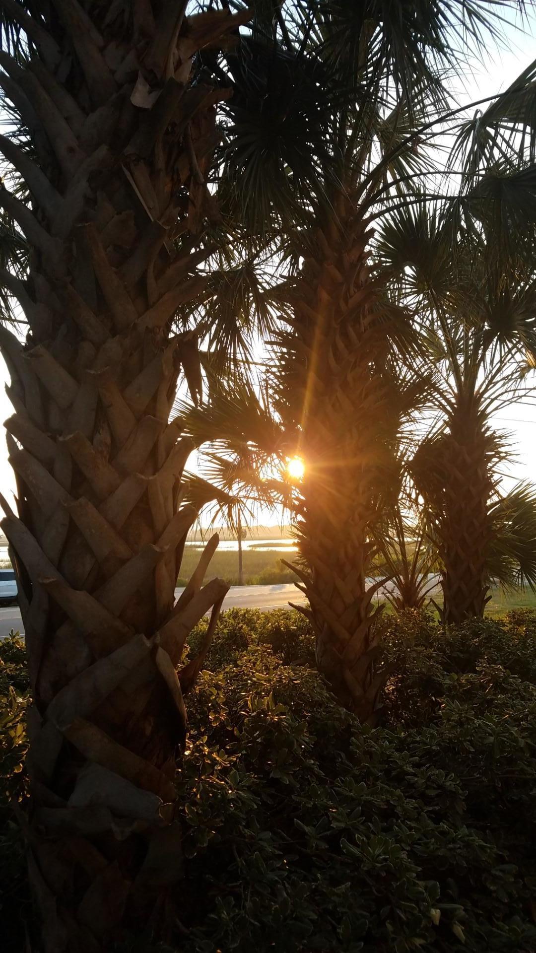 2262 Folly Road, Unit 1M Charleston, SC 29412 - Photo 12 of 12 Jason Harvey - 12. Sunset View