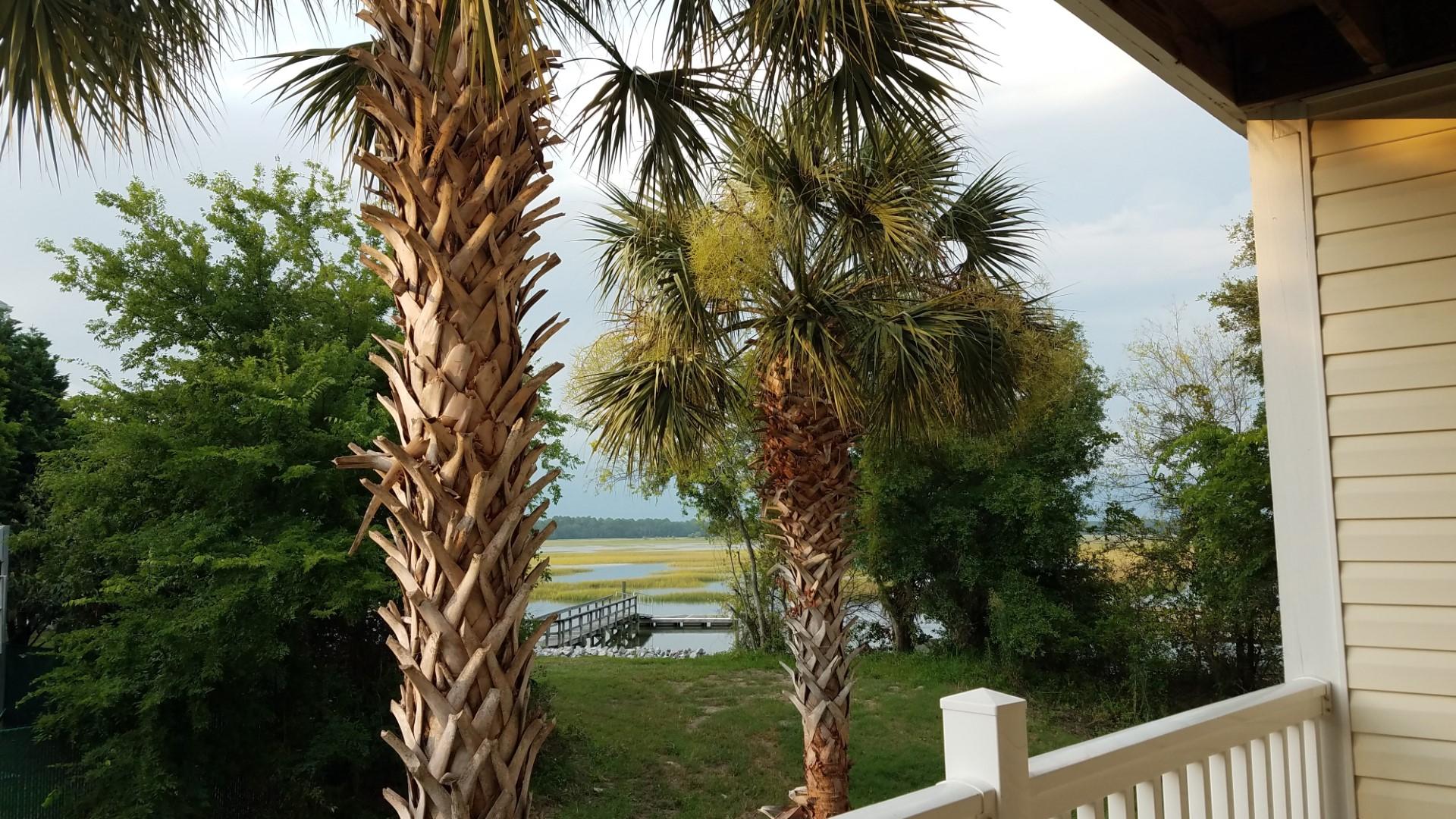2262 Folly Road, Unit 1M Charleston, SC 29412 - Photo 9 of 12 Jason Harvey - 9. Marshview