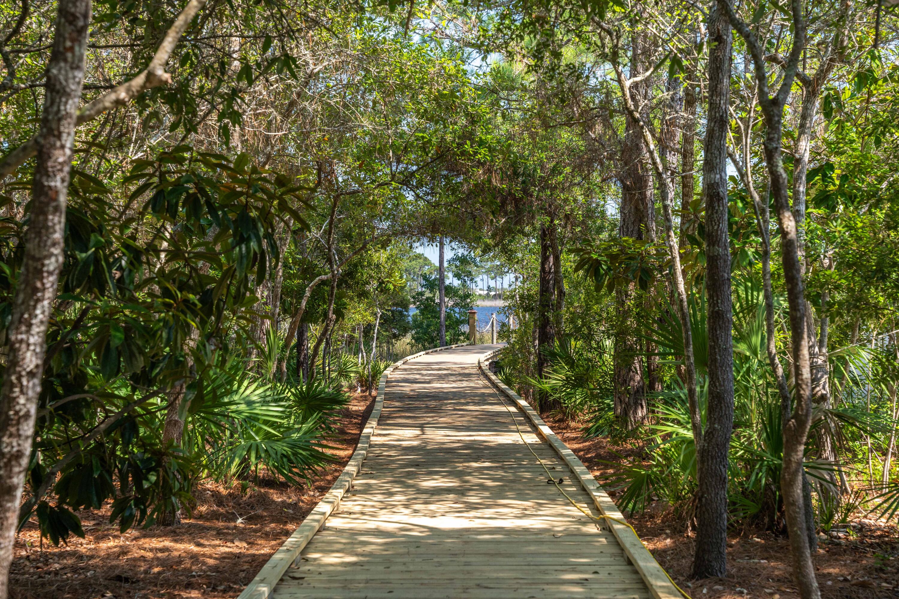 285 Wilderness Way Santa Rosa Beach, FL 32459 - Photo 62 of 69 a view of a pathway both side of yard