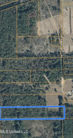 $61,500 | 0 Jones Lane, Pelahatchie, MS 39145