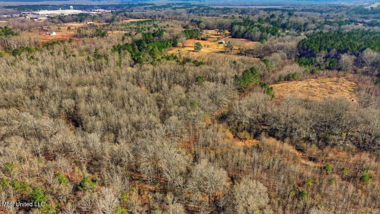 0 Jones Lane Pelahatchie, MS 39145 - Photo 11 of 13 16-Jones Lane