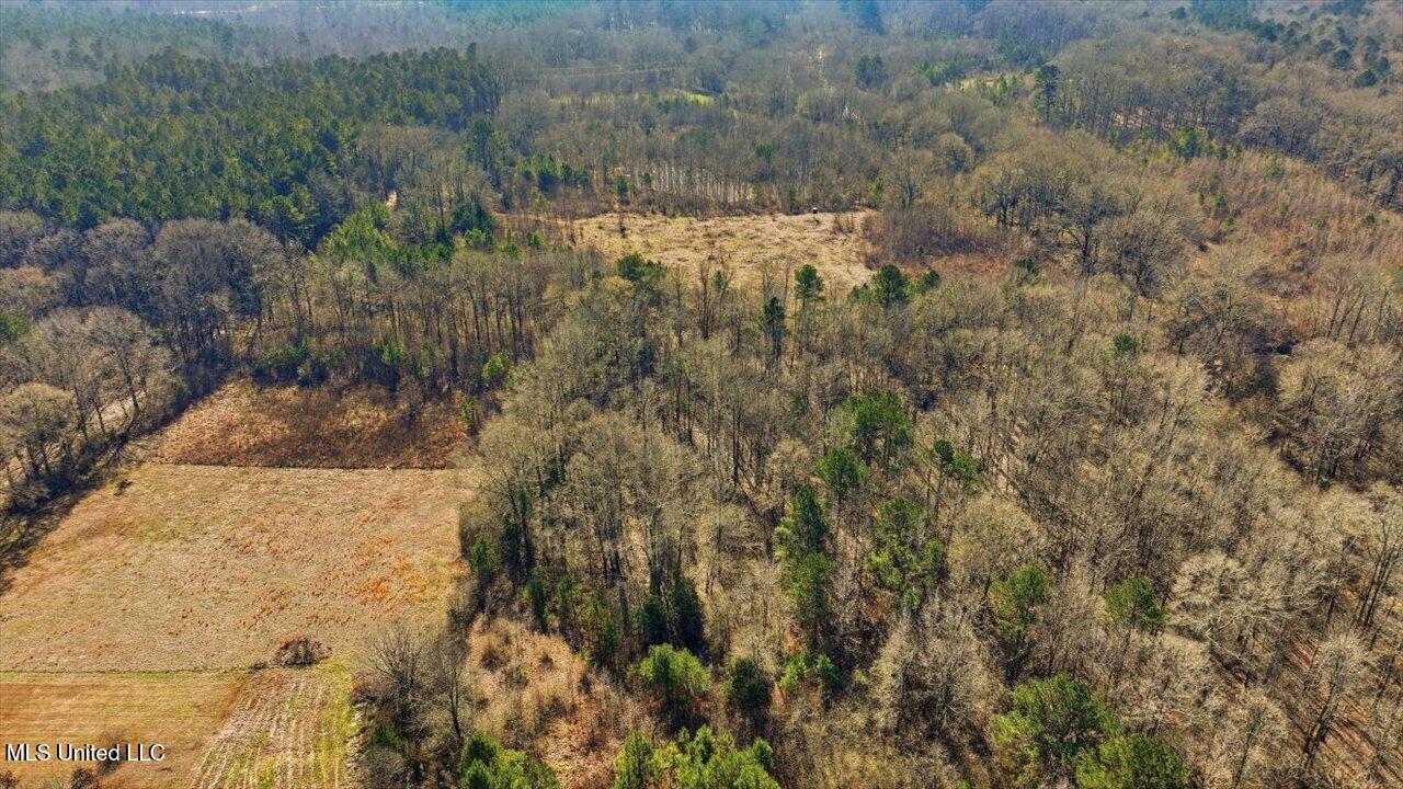 0 Jones Lane Pelahatchie, MS 39145 - Photo 12 of 13 20-Jones Lane