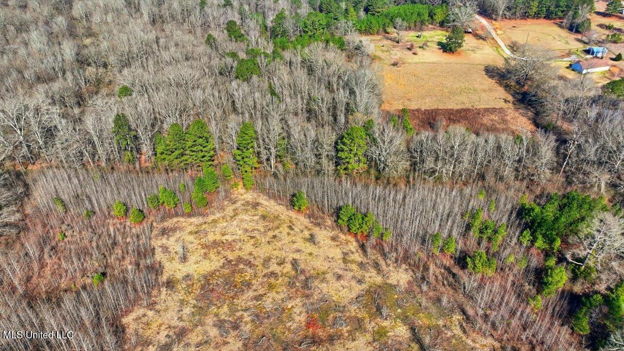 0 Jones Lane Pelahatchie, MS 39145 - Photo 13 of 13 22-Jones Lane