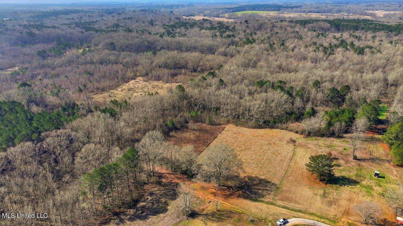 0 Jones Lane Pelahatchie, MS 39145 - Photo 2 of 13 01-Jones Lane