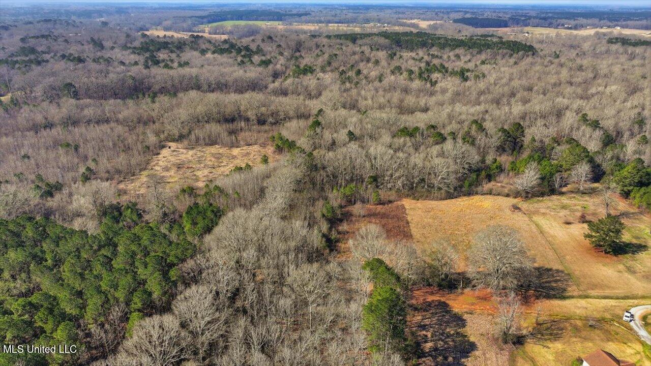 0 Jones Lane Pelahatchie, MS 39145 - Photo 3 of 13 02-Jones Lane