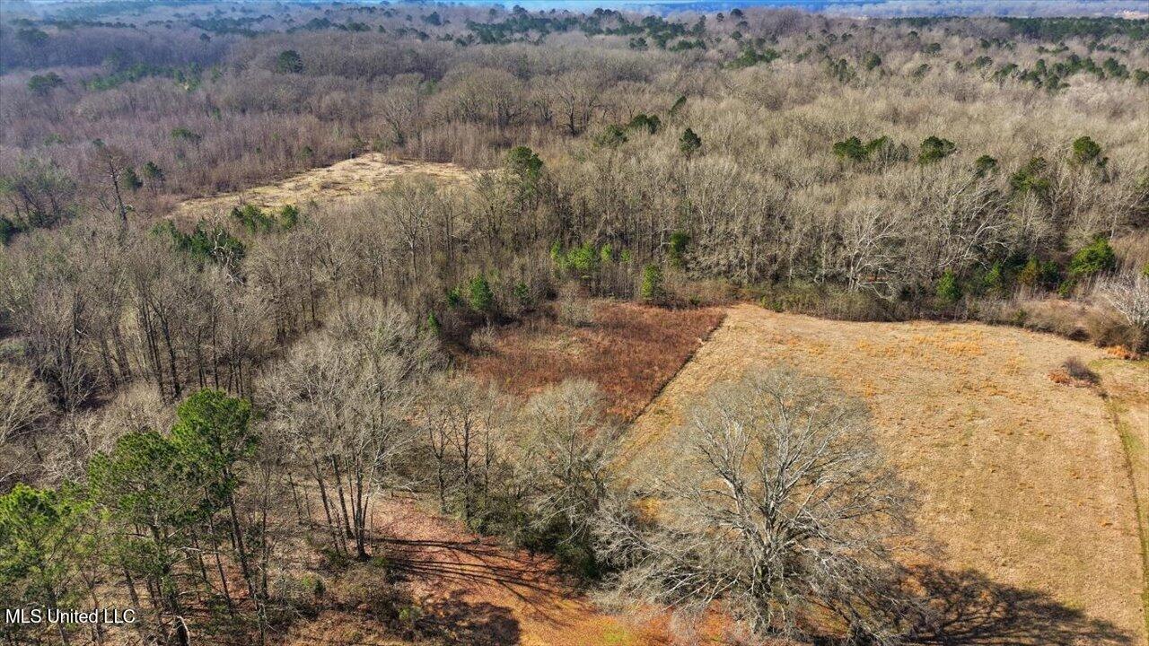 0 Jones Lane Pelahatchie, MS 39145 - Photo 5 of 13 07-Jones Lane
