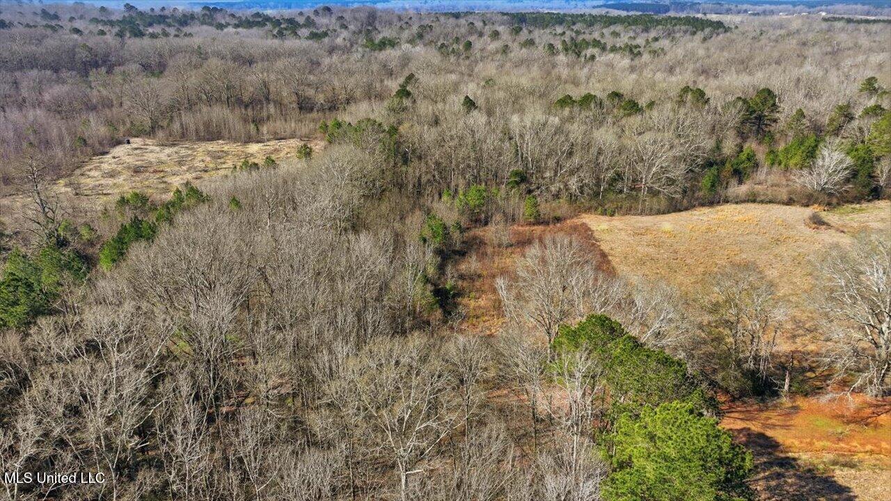 0 Jones Lane Pelahatchie, MS 39145 - Photo 6 of 13 08-Jones Lane