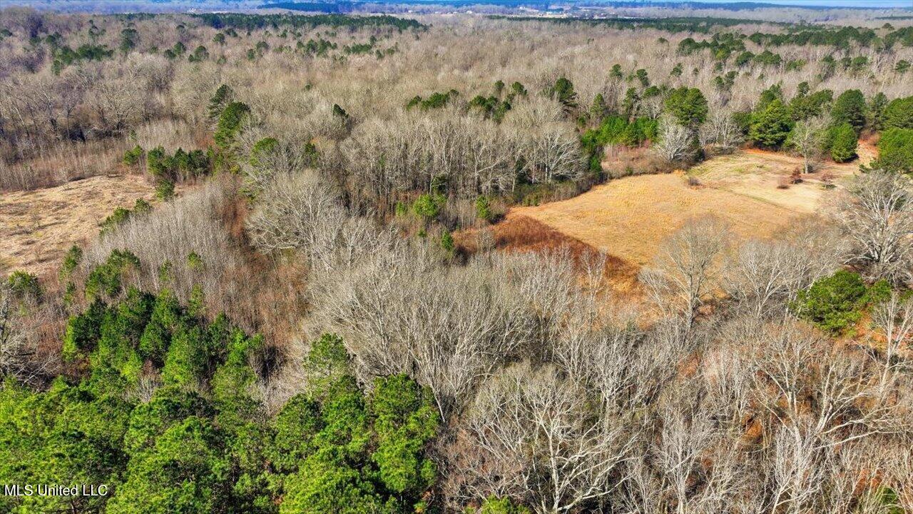 0 Jones Lane Pelahatchie, MS 39145 - Photo 7 of 13 09-Jones Lane
