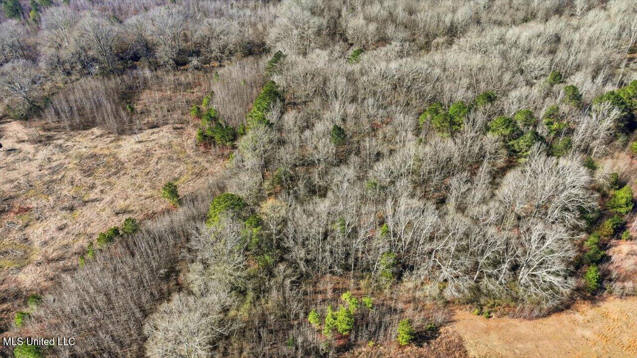 0 Jones Lane Pelahatchie, MS 39145 - Photo 8 of 13 13-Jones Lane