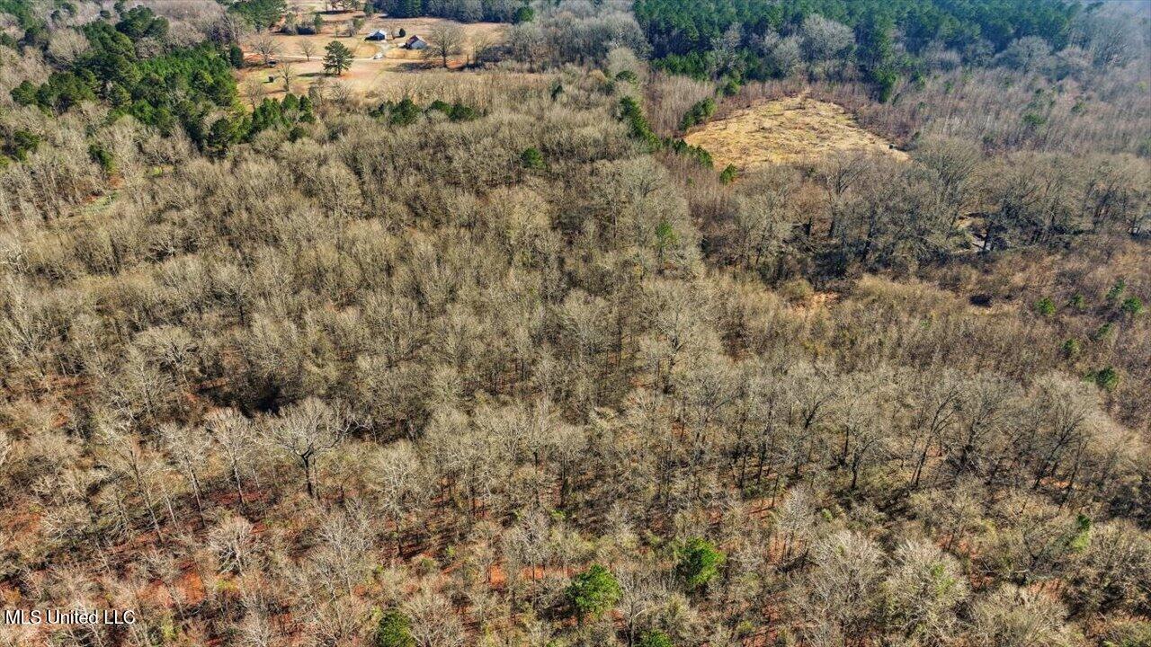 0 Jones Lane Pelahatchie, MS 39145 - Photo 9 of 13 14-Jones Lane