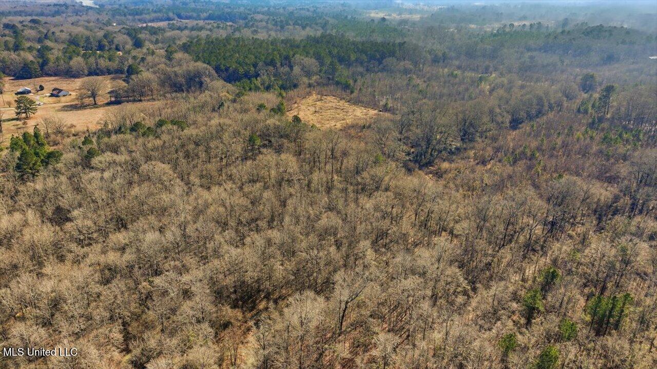 0 Jones Lane Pelahatchie, MS 39145 - Photo 10 of 13 15-Jones Lane