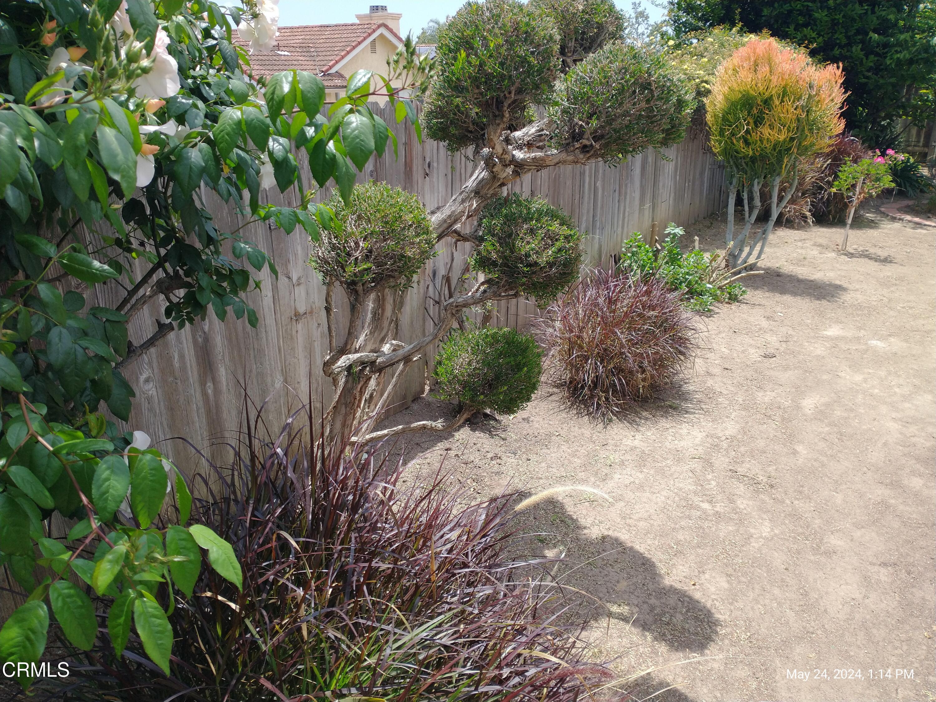 5928 Palomar Circle Camarillo, CA 93012 - Photo 31 of 33 a backyard of a house with lots of green space