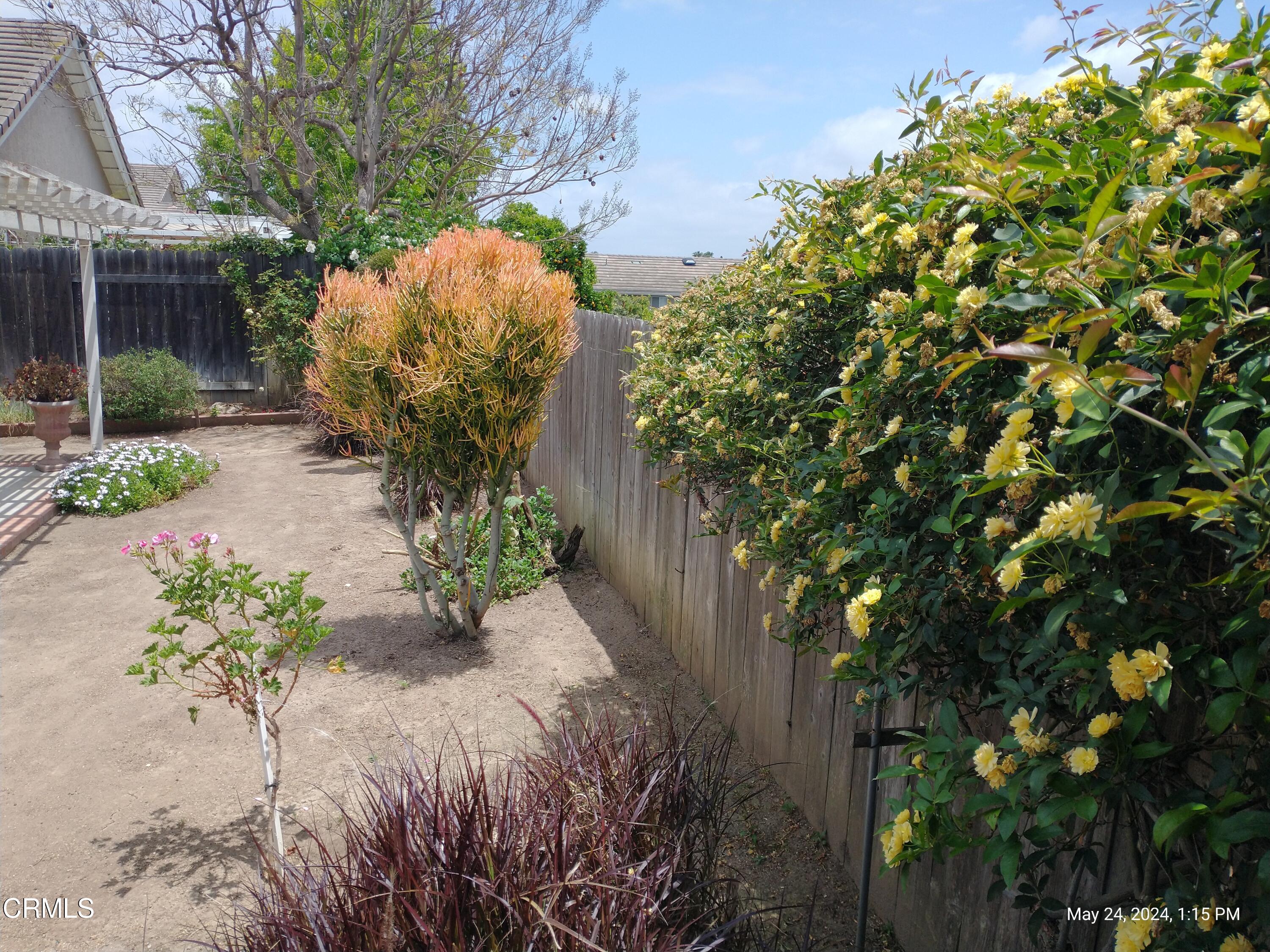 5928 Palomar Circle Camarillo, CA 93012 - Photo 32 of 33 a backyard of a house with a yard and outdoor seating