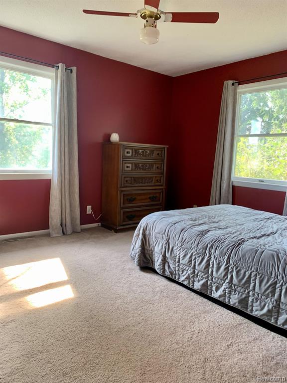 6245 Adams Road Marlette, MI 48453 - Photo 8 of 17