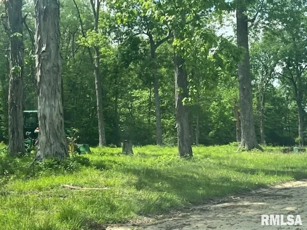 a view of outdoor space with green field and trees