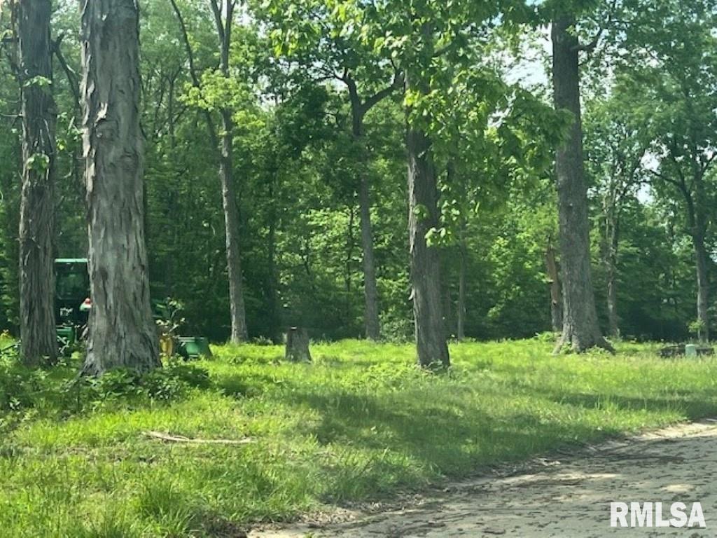 3551-lot 10) Ridgecrest Drive Mount Vernon, IL 62864 - Photo 2 of 15 a view of outdoor space with green field and trees
