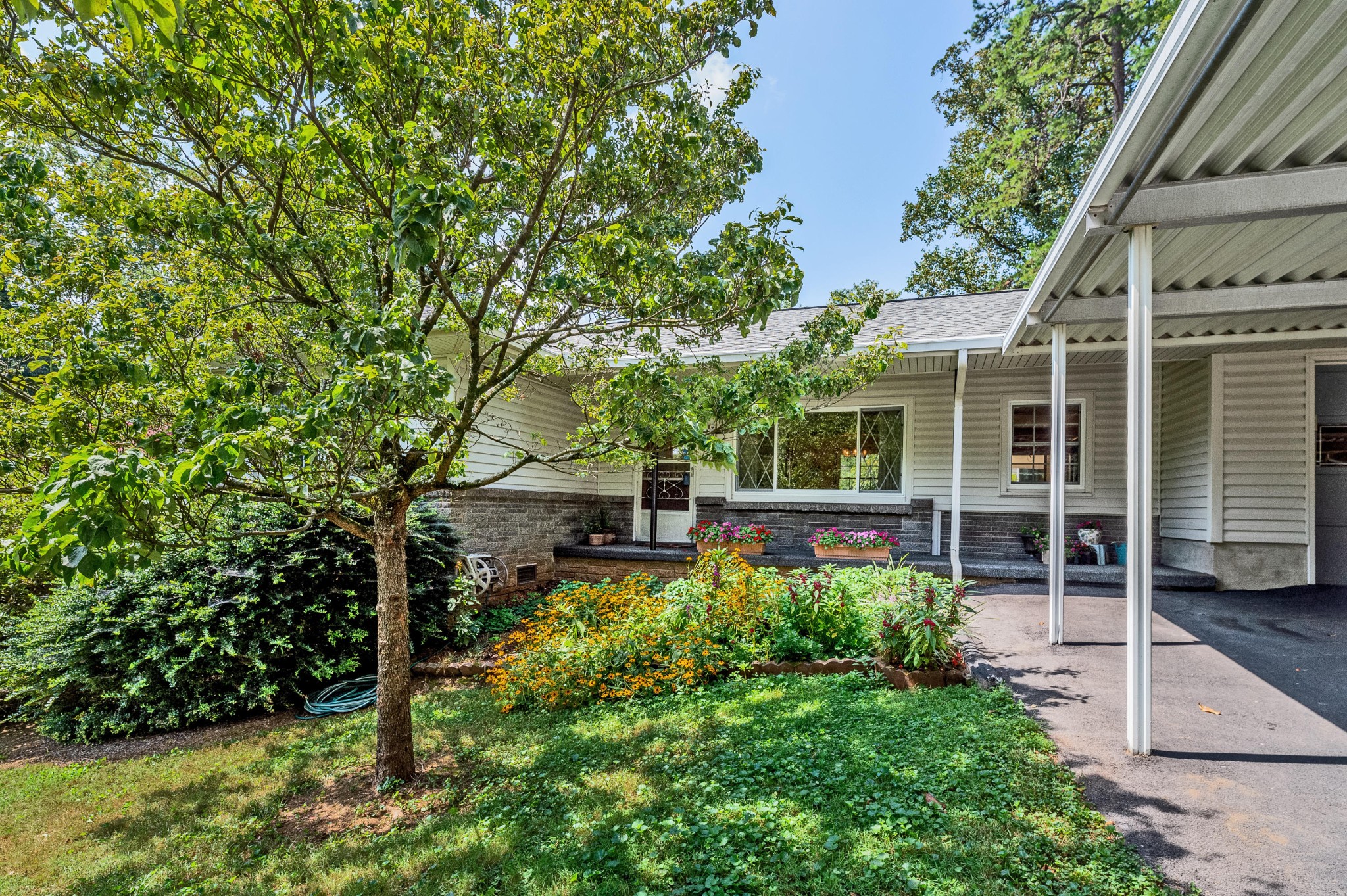 613 Forest View Road Knoxville, TN 37919 - Photo 3 of 33 Gallery Image 3