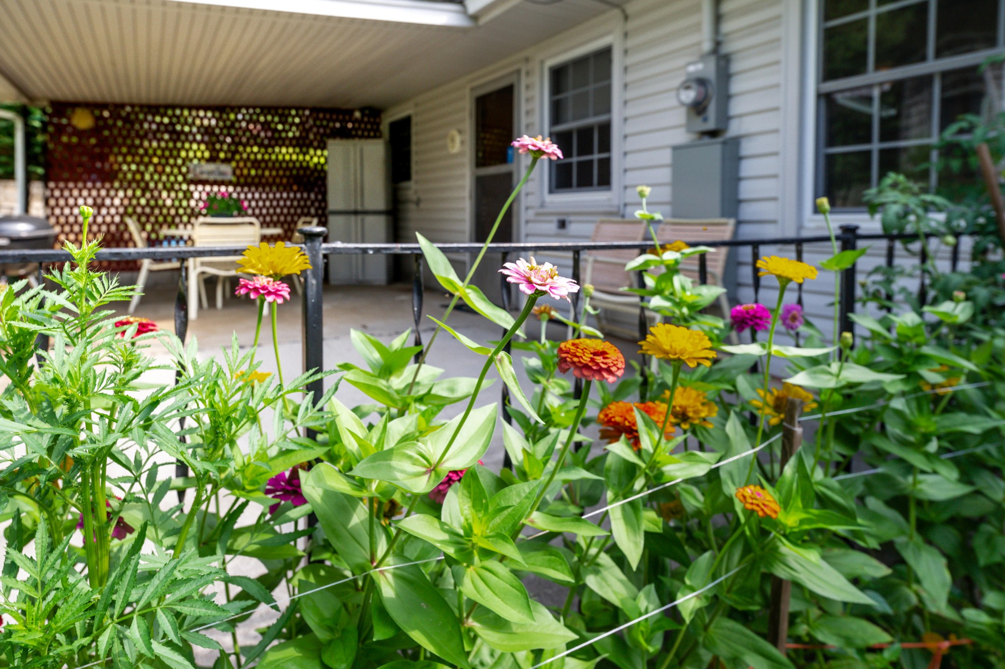 613 Forest View Road Knoxville, TN 37919 - Photo 10 of 33 Gallery Image 10