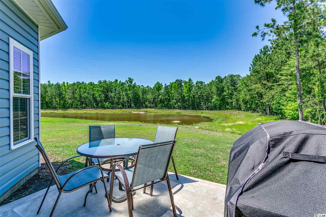 537 Irees Way Longs, SC 29568 - Photo 19 of 26 Gallery Image 19