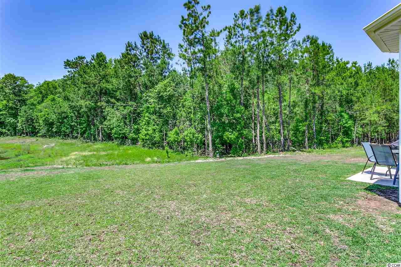 537 Irees Way Longs, SC 29568 - Photo 20 of 26 Gallery Image 20