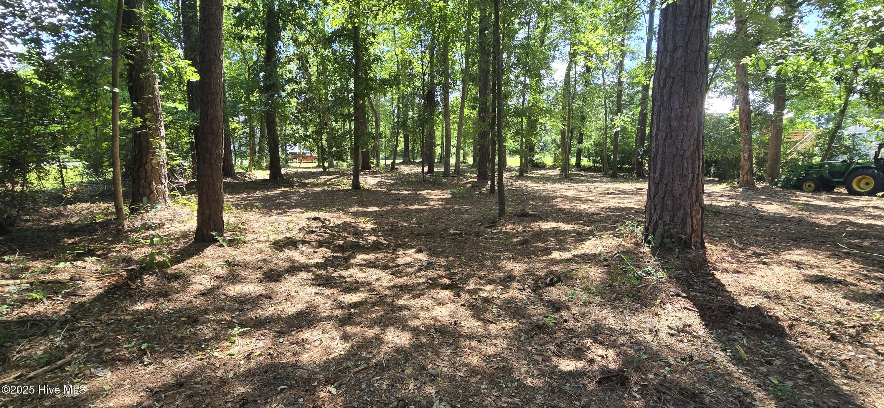 Lot 1 Swan Point Road Washington, NC 27889 - Photo 2 of 9 20250714_122310