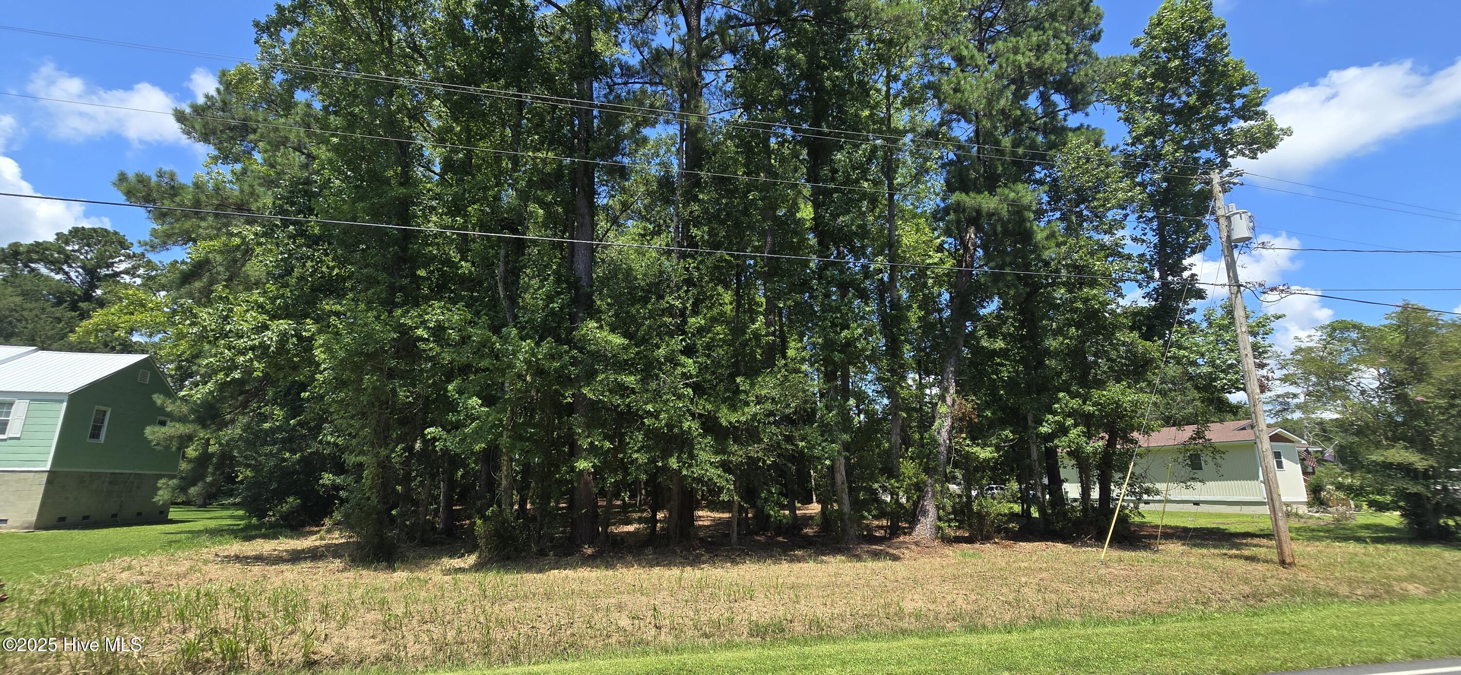 Lot 1 Swan Point Road Washington, NC 27889 - Photo 6 of 9 20250714_122512