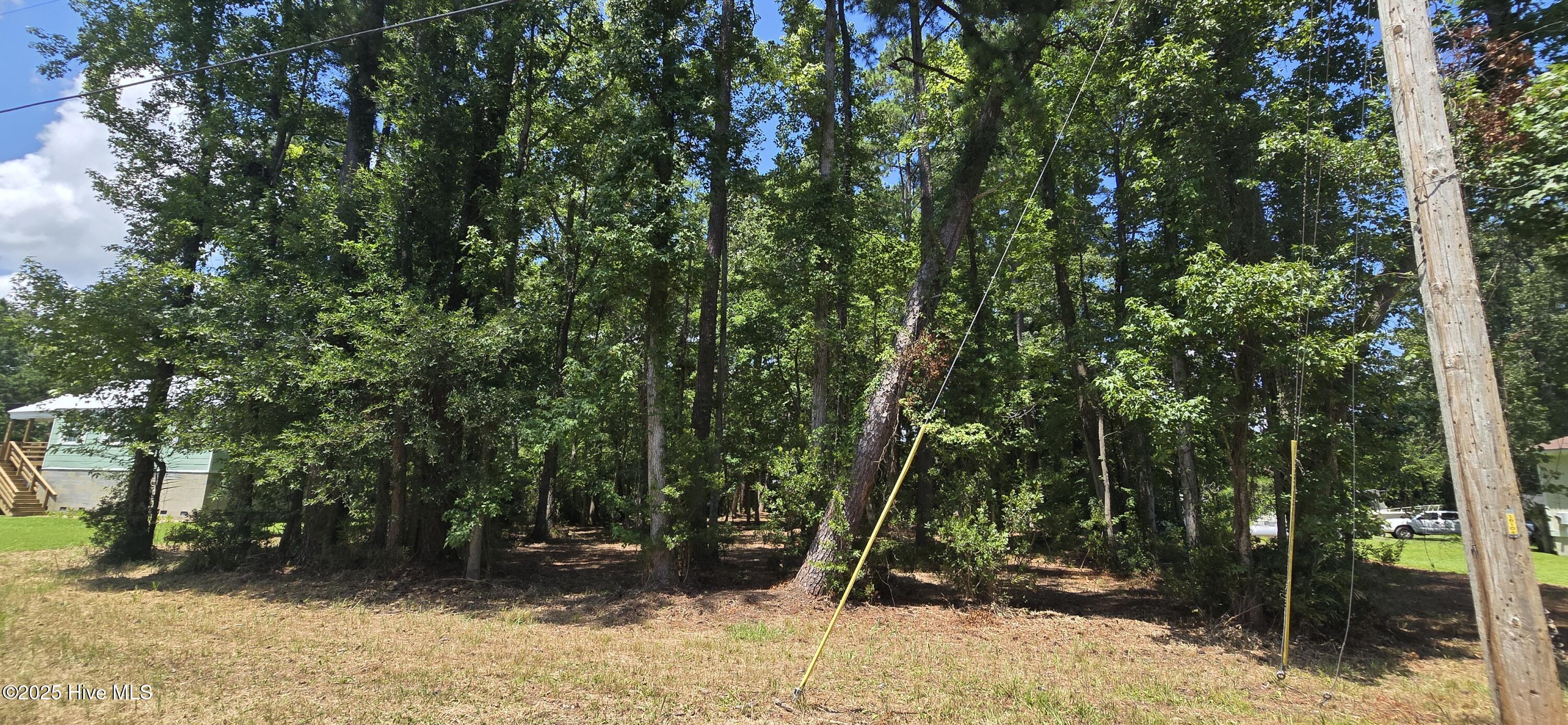 Lot 1 Swan Point Road Washington, NC 27889 - Photo 7 of 9 20250714_122541