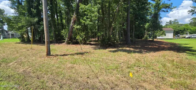 $40,000 | Lot 1 Swan Point Road, Washington, NC 27889